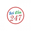 Soicau247rongbachkimme